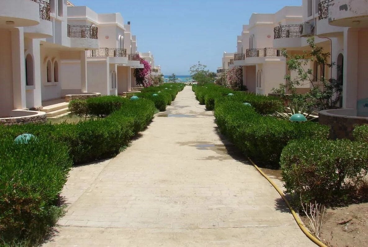 Фотографія Zaafarana Hotel 4*